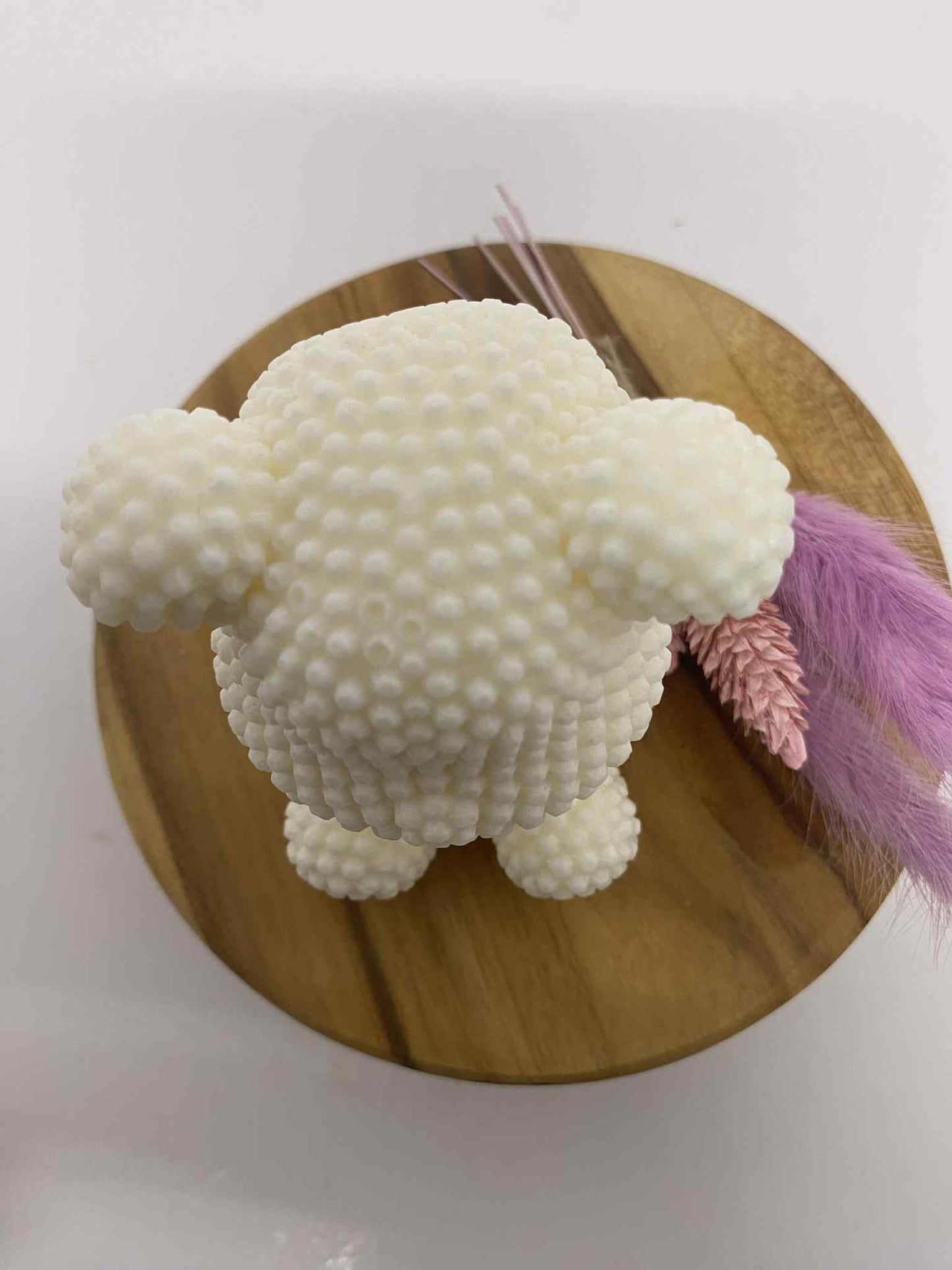 Ourson pop