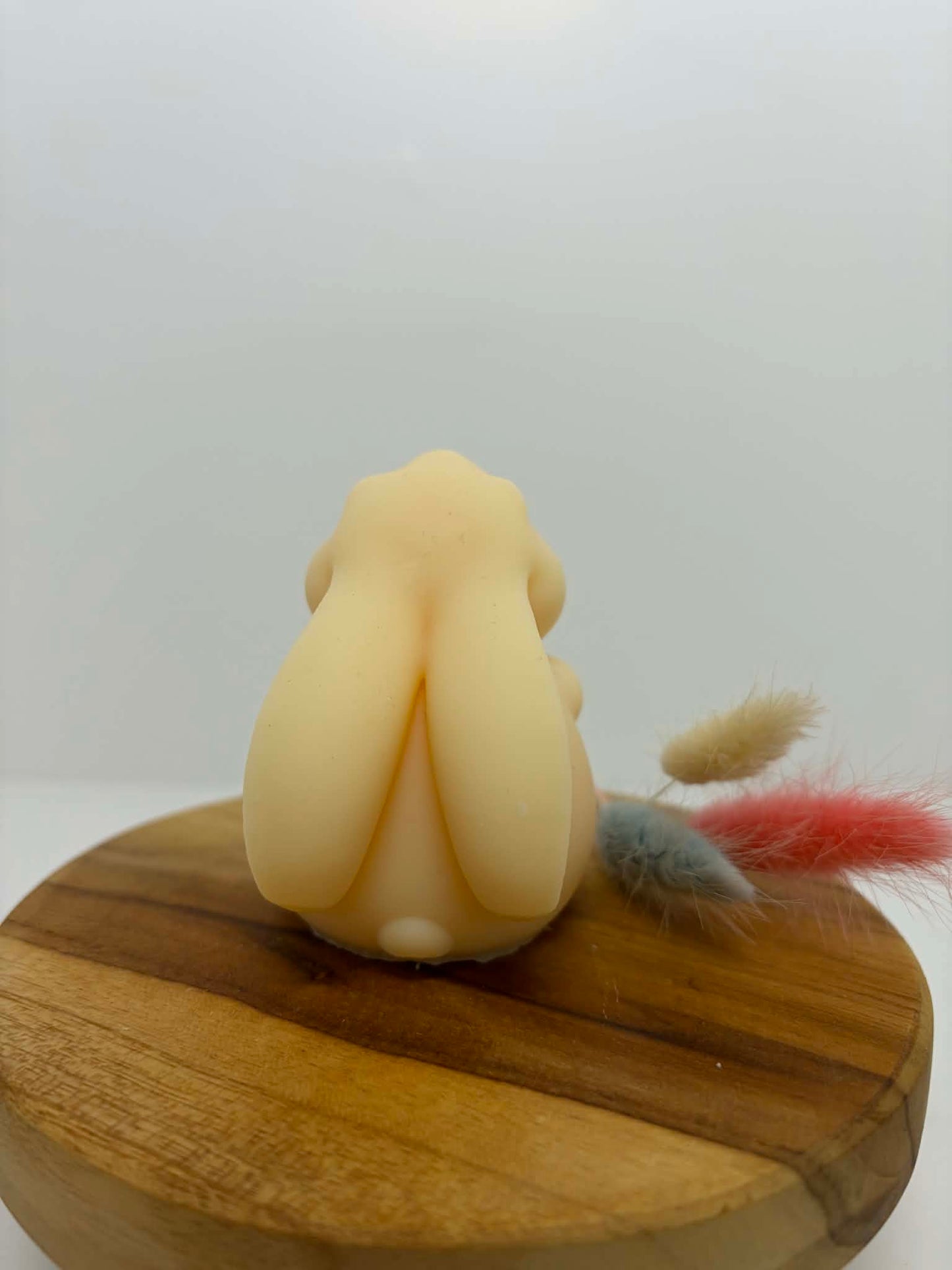 Lapin petit vœu