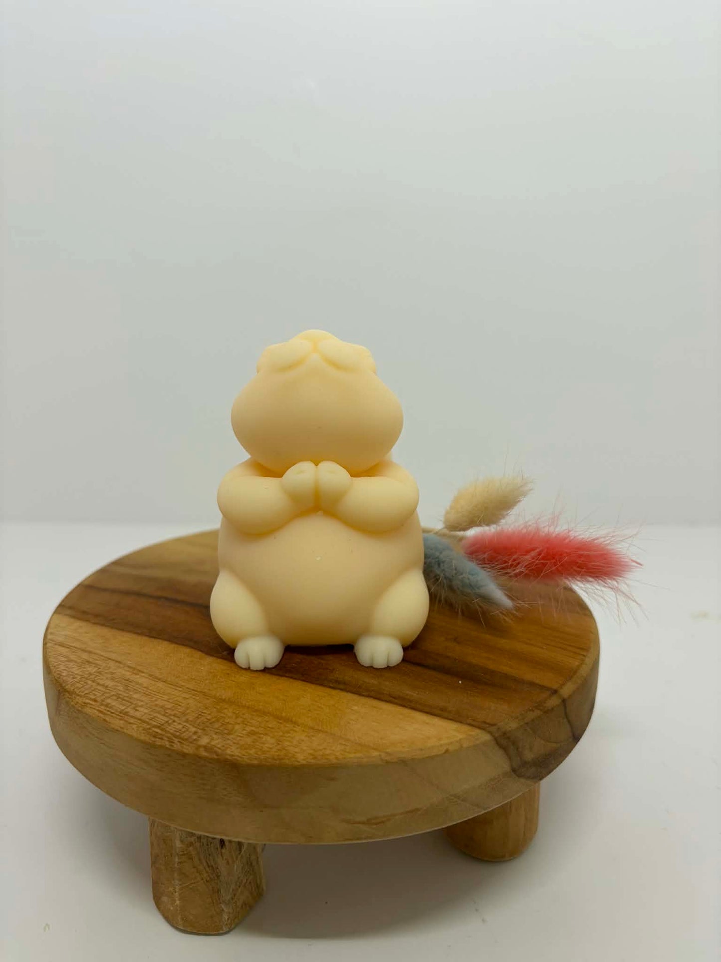 Lapin petit vœu