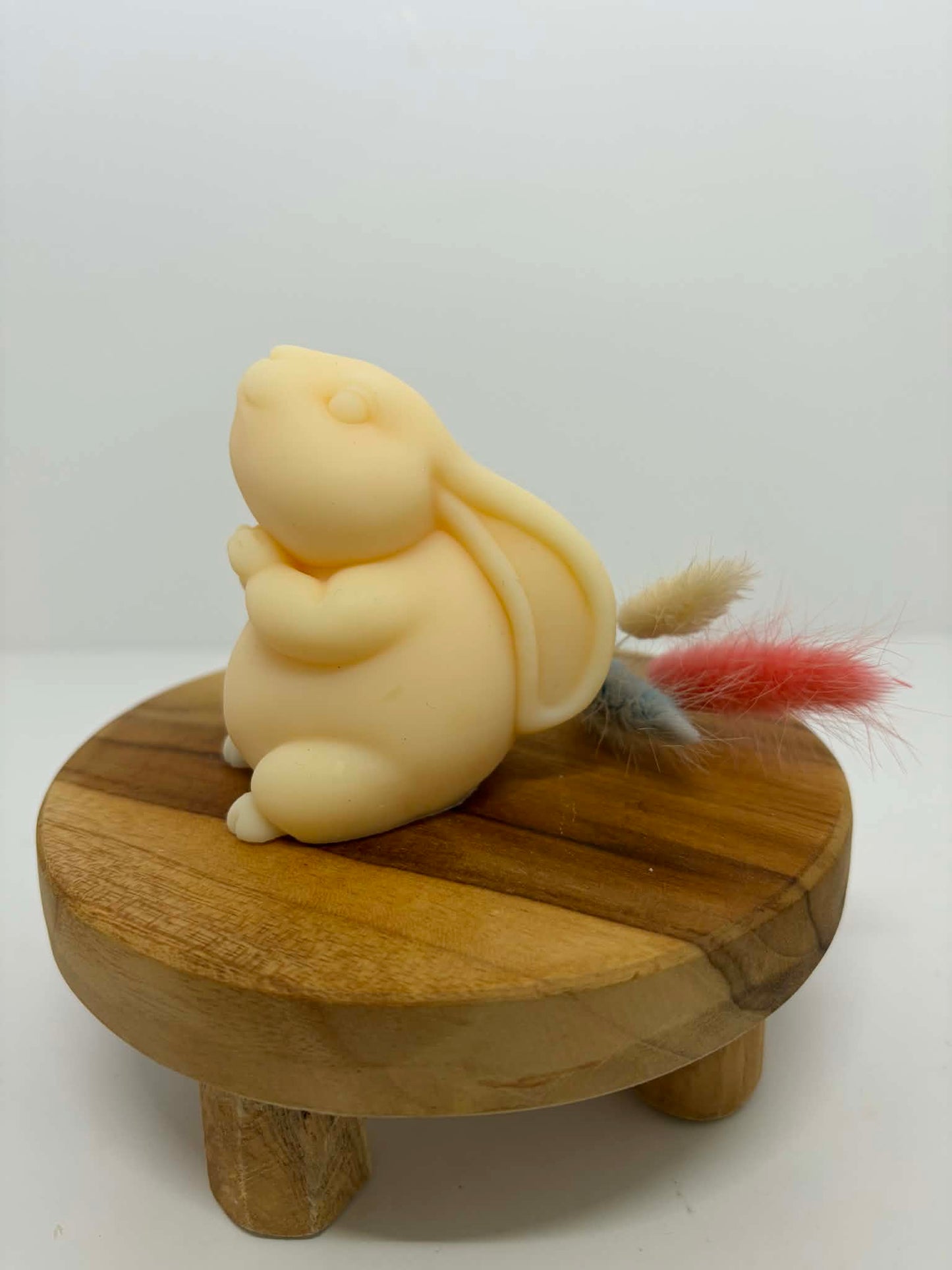 Lapin petit vœu