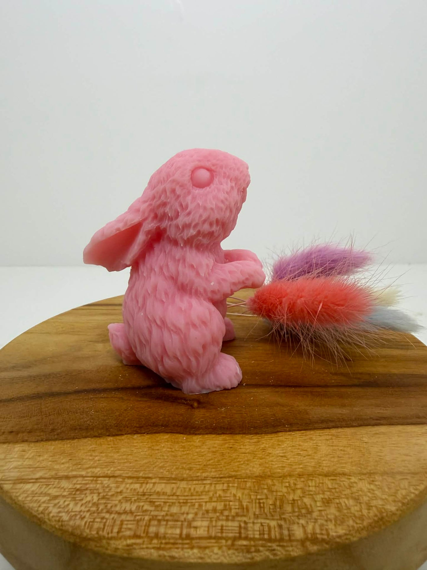 Lapin nuage de poils