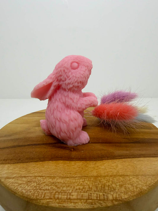 Lapin nuage de poils