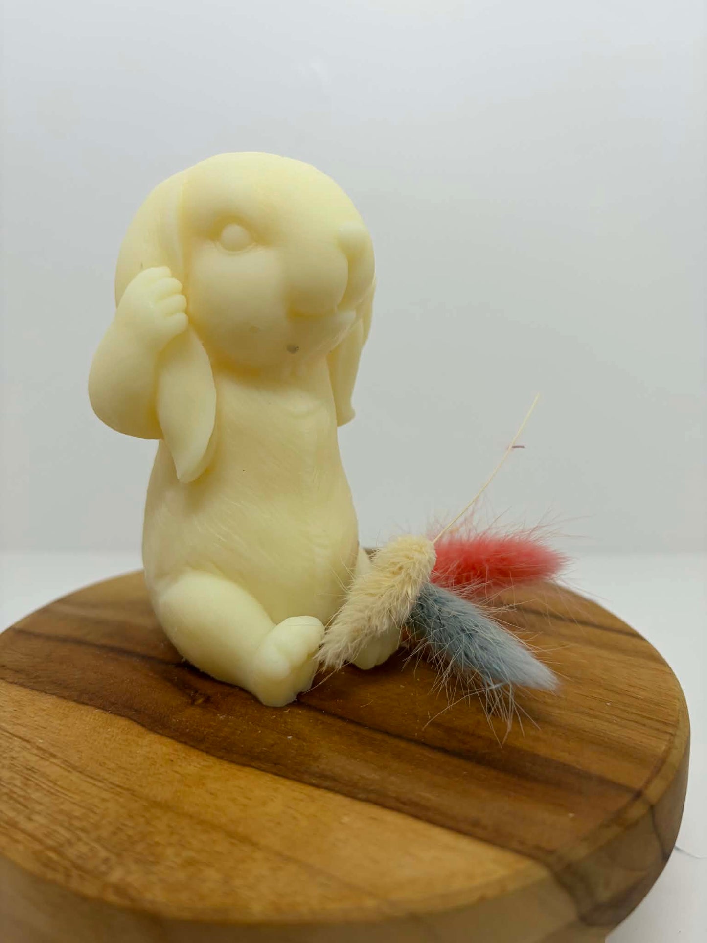 Lapin timide