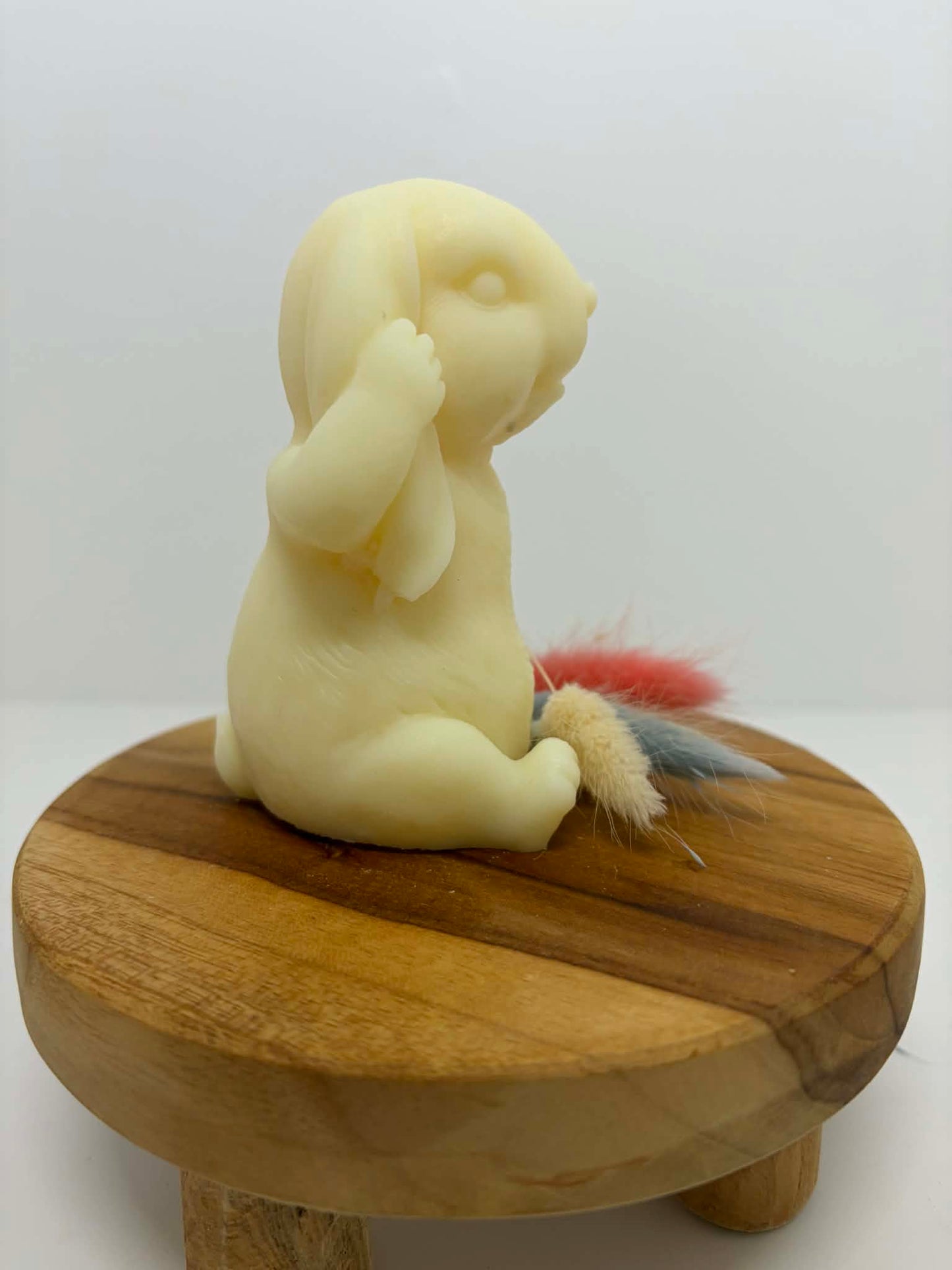 Lapin timide