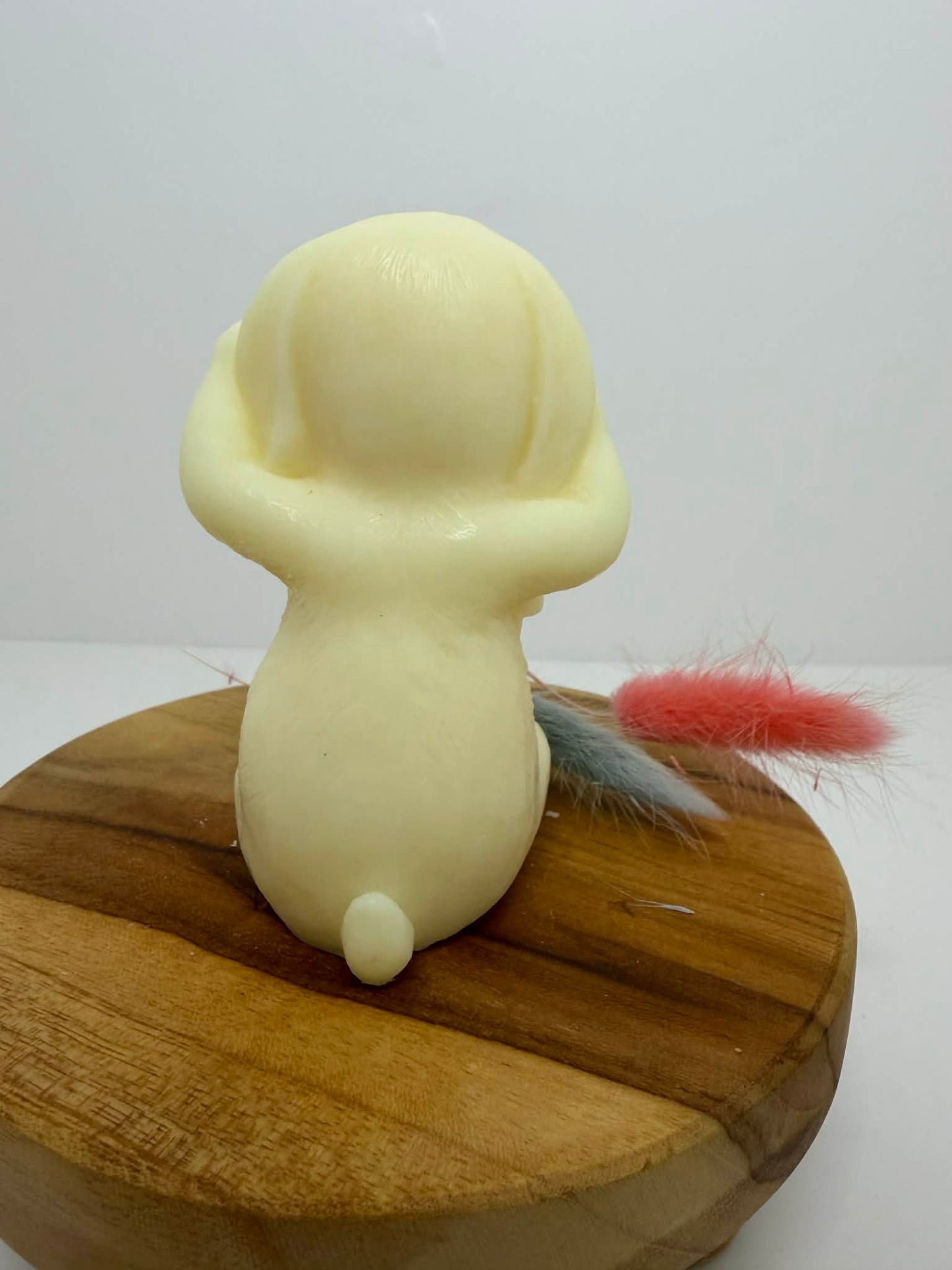 Lapin timide