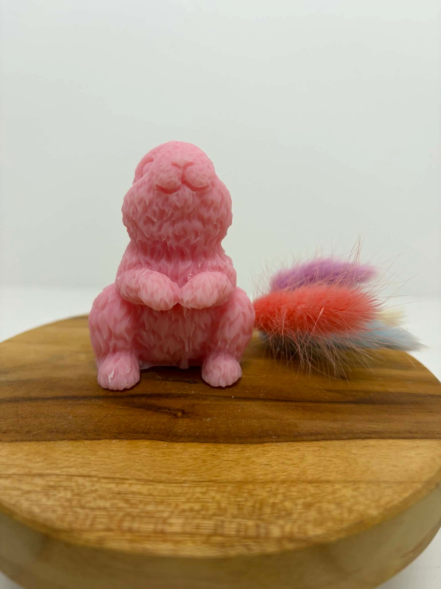 Lapin nuage de poils