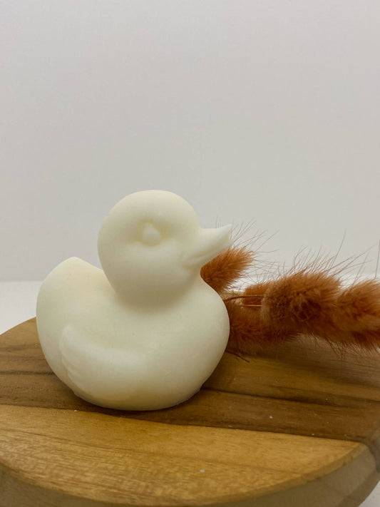 Canard